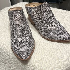 Dolce vita snake color